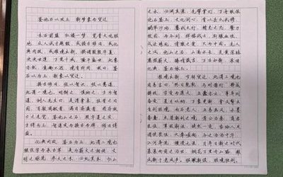 美丽湖小学作文怎么写作文