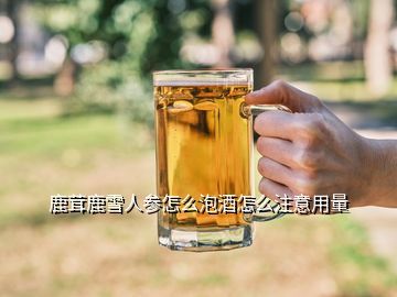 泡参片要多少度的水