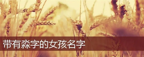 起名淼字女孩寓意好的