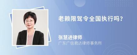 全国执行网信息查询