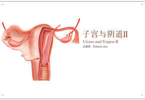 内膜息肉怎么治疗
