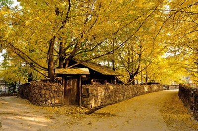腾冲旅游介绍