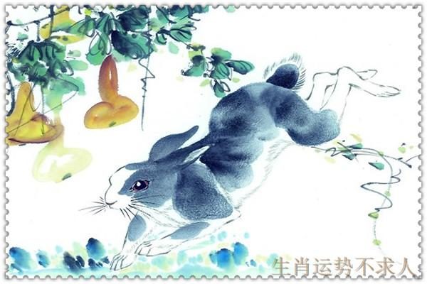 风雨闭门打一生肖