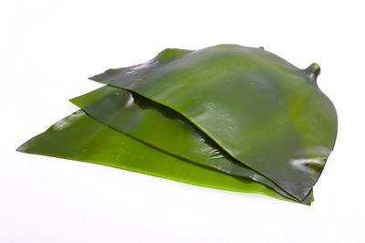 一岁宝宝能吃海带吗