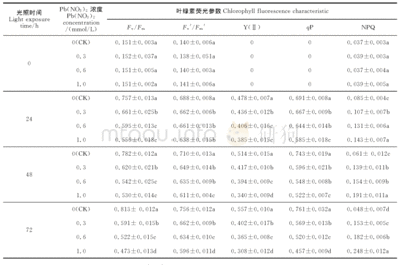 荧光参数Fm值上升