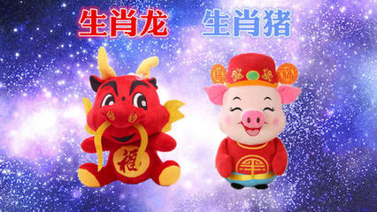 生肖猪和龙相配吗
