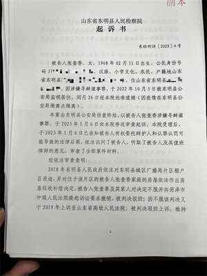检察院刑事起诉书范文
