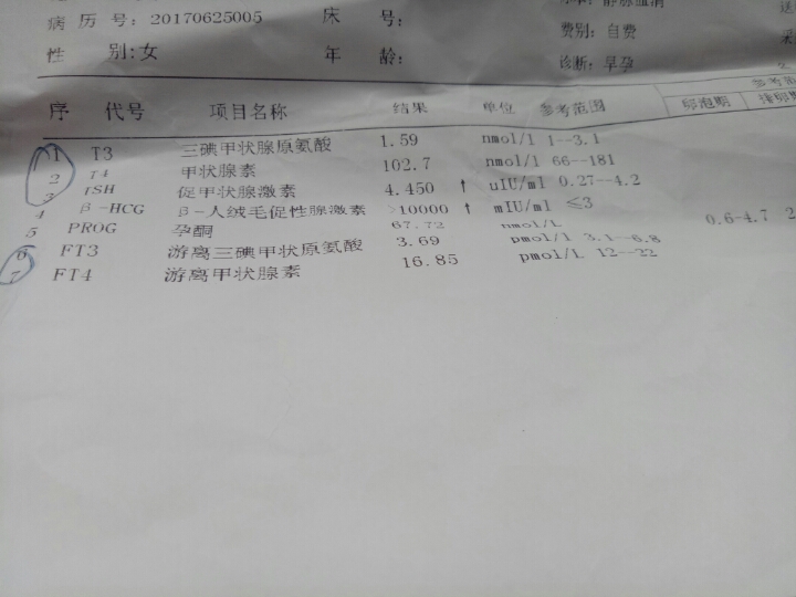 怀孕甲低会影响胎儿吗