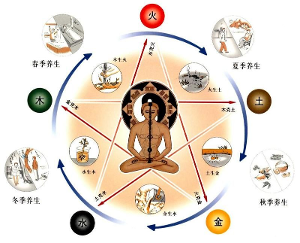 金蛇命五行缺什么