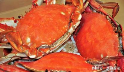 吃螃蟹后可以吃红枣吗?吃螃蟹后可以吃红枣吗?