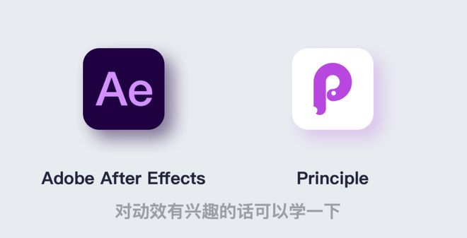 principle汉化插件