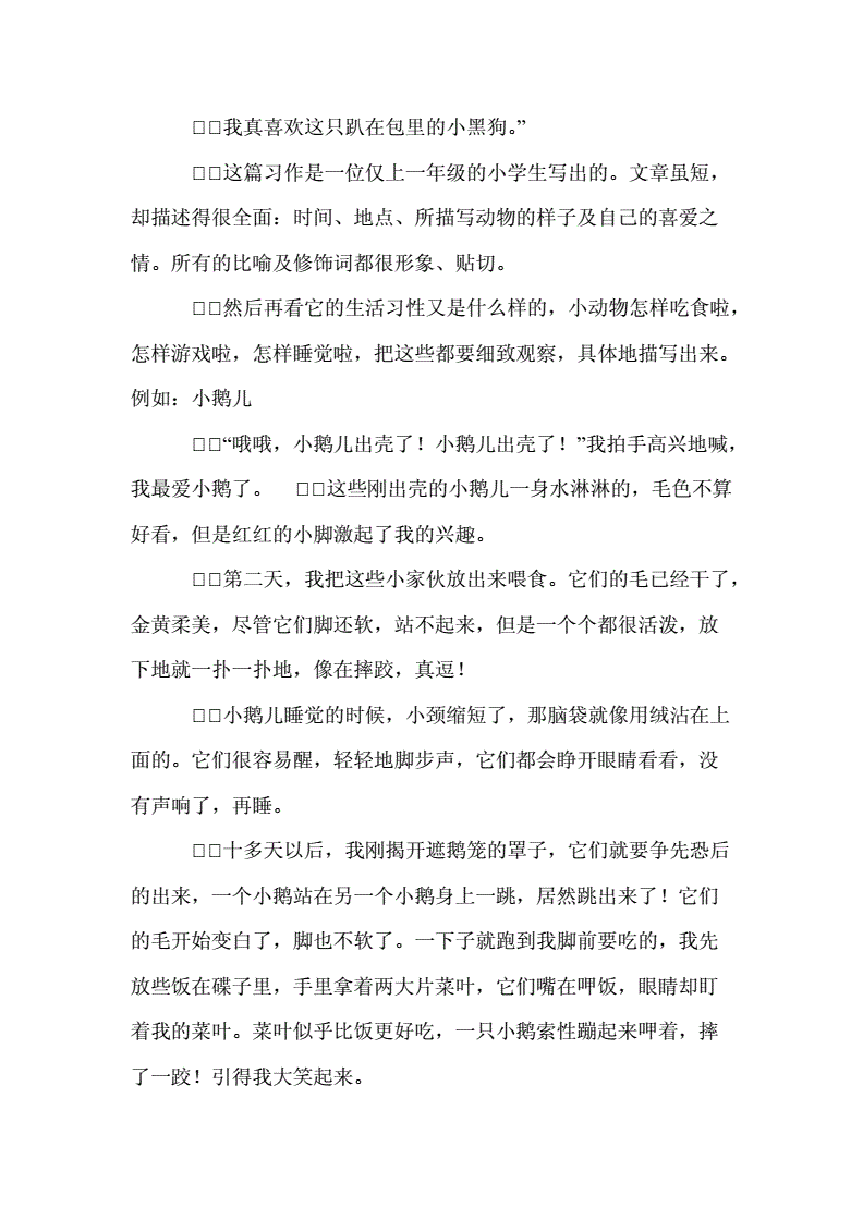 五年级钢笔说明文作文怎么写