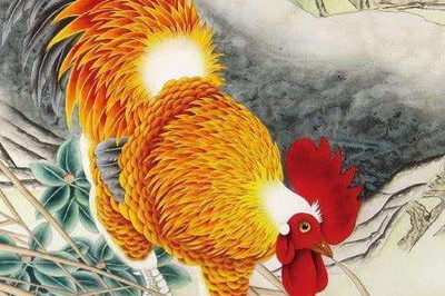 属鸡五行属什么命