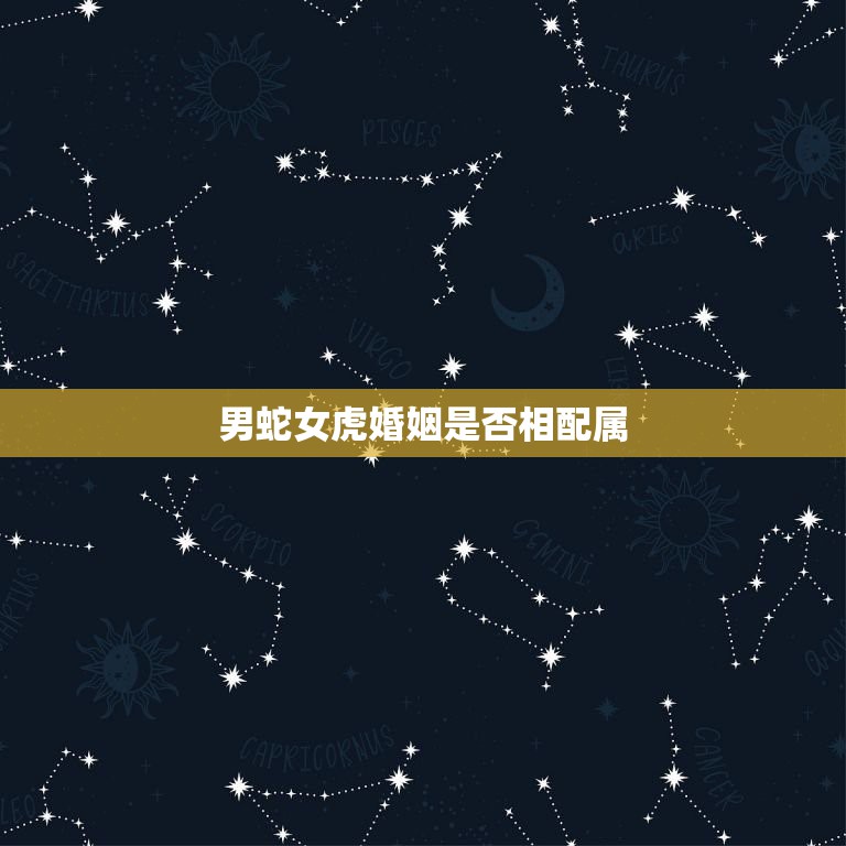 女虎男蛇婚姻相配吗