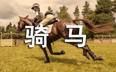 孕妇梦见骑马