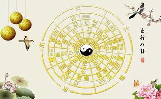 听字五行属什么