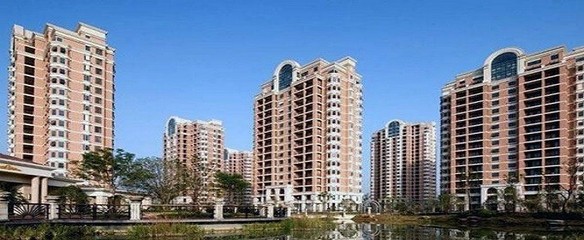 楼盘是什么