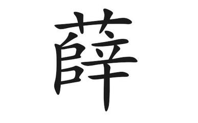 薛的名字男孩