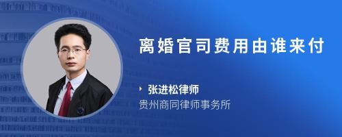 上海打离婚官司的律师