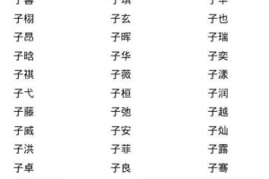 子字男孩名字
