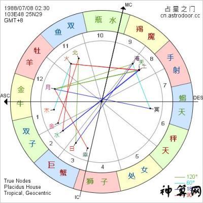 天顶星座双子座