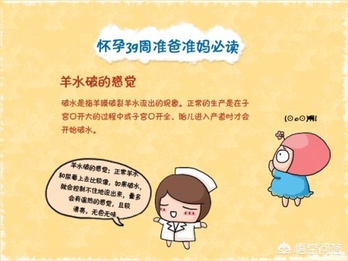 怀孕都有什么现象