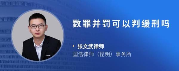 数罪并罚可以缓刑吗