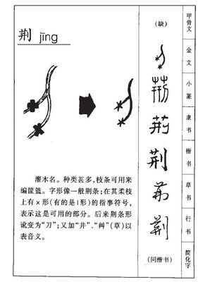 荆字取名