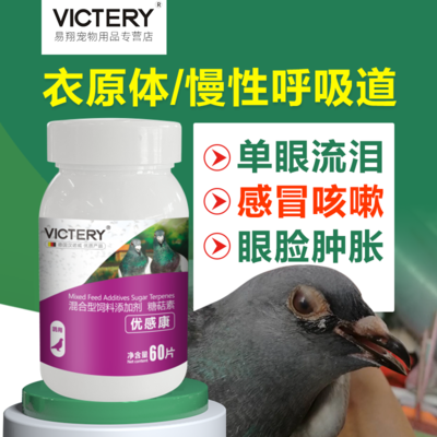 感冒咳嗽能吃鸽子吗