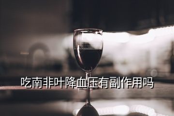 南非叶什么人不能吃