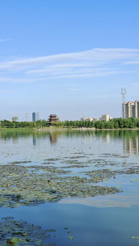 兴隆湖湿地公园 攻略