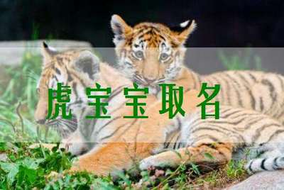 一代风流是什么生肖
