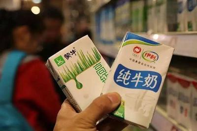红星奶粉为什么不出名