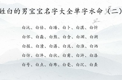 男孩姓白有意义的名字