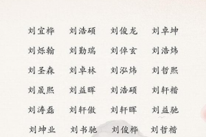 取名两个字