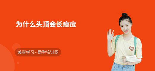 为啥头上会长痘痘
