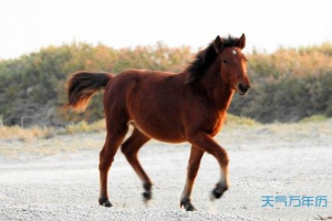 1990年今年运势如何