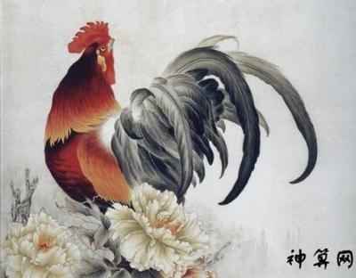 今年属鸡运势