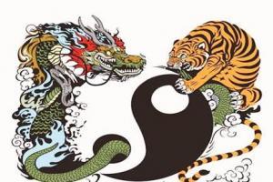 属龙和属虎的合不合
