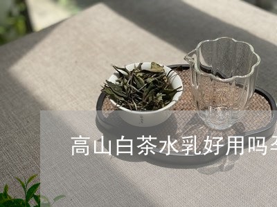 怀孕能喝白茶吗