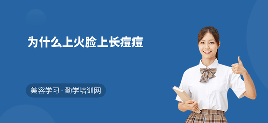 突然脸蛋长痘痘