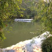 玉泉公园旅游攻略
