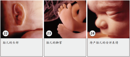 怀孕37周手肿了正常吗