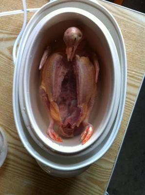 葡酒乳鸽制作方法