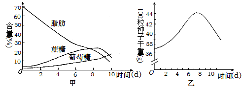 测量水的温度作文怎么写