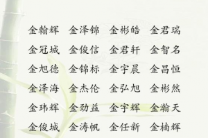 缺金的男孩名字大全