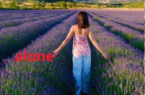 alone与lonely的区别口诀