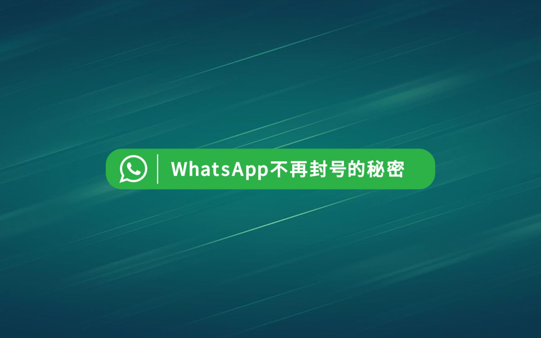 WhatsApp最近老封