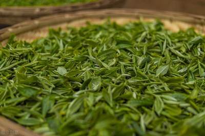 普洱生茶制作方法