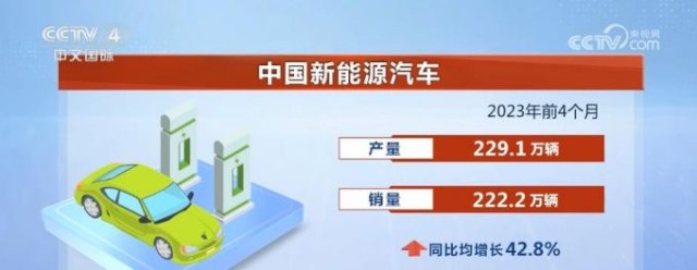 金宝搏体育娱乐中国队比赛图片